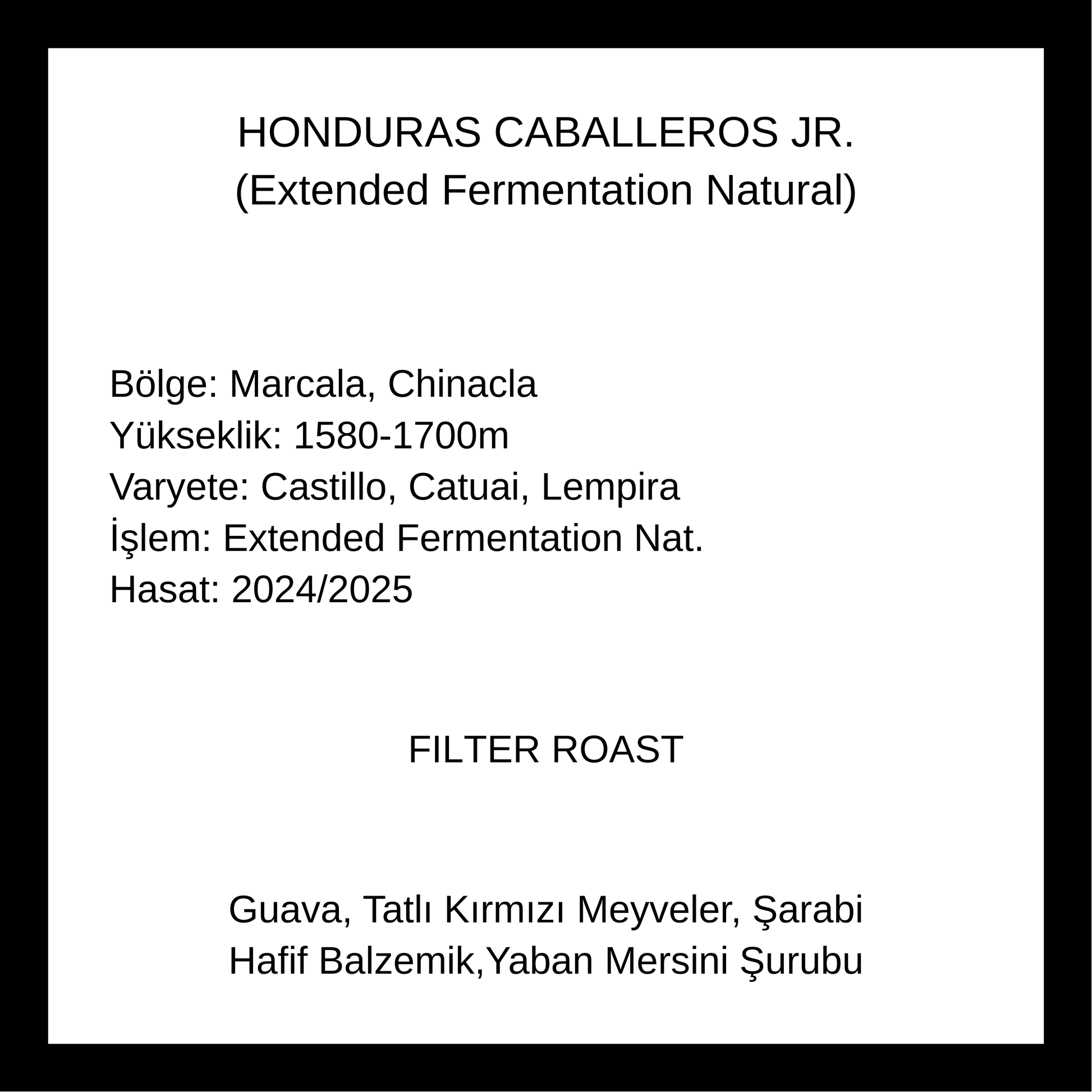 HONDURAS CABALLEROS JR (Extended Fermentation Natural)