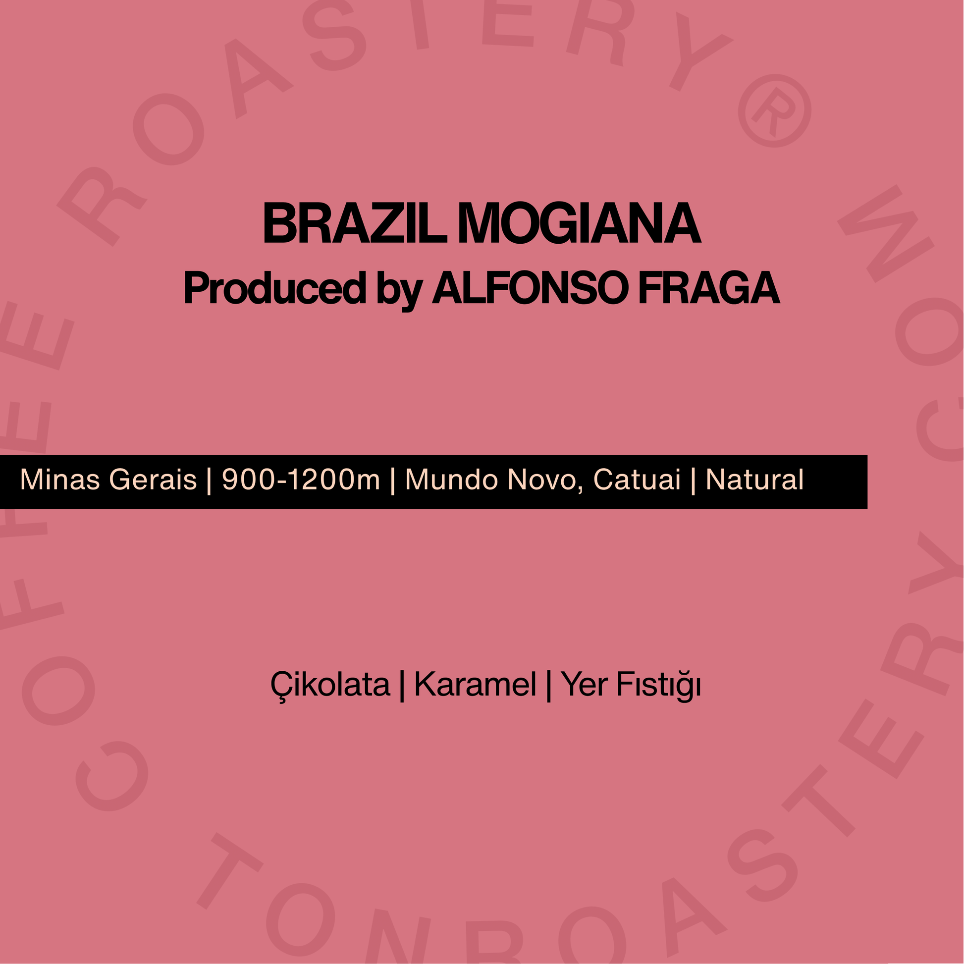 BRAZIL MOGIANA by Alfonso Fraga